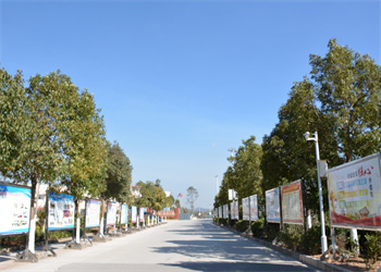 曲靖靖宁职业技术学校2024年中专招生对象 曲靖靖宁职业技术学校2024年中专招生对象