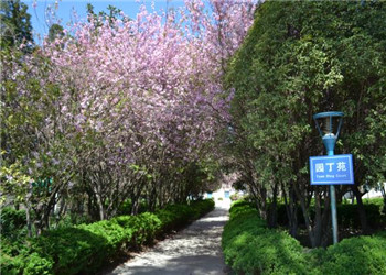 昆明高级技工学校2024年中专全部专业 昆明高级技工学校2024年中专全部专业