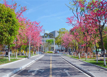 云南体育运动职业技术学院2025年五年制大专招生专业 云南体育运动职业技术学院2025年五年制大专招生专业