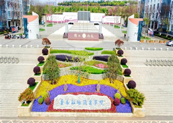 云南轻纺职业学院2025年五年制大专录取分数线