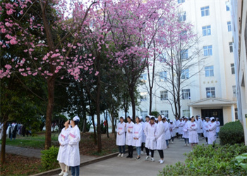 云南中医药中等专业学校2025年五年制大专招生专业 云南中医药中等专业学校2025年五年制大专招生专业