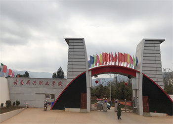 云南新兴职业学院2025年五年制大专招生电话