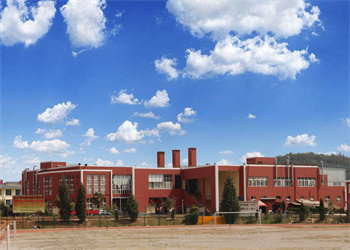 云南新兴职业学院2025年五年制大专招生专业