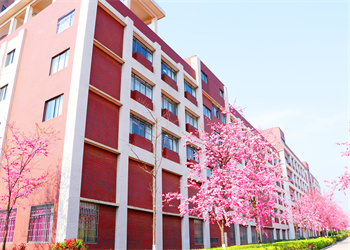 昆明市卫生学校2025年中专热门专业 昆明市卫生学校2025年中专热门专业