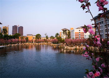 云南工业技师学院2025年五年制报名流程