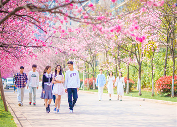 云南医药健康职业学院2026年五年制大专招生对象