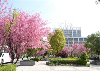 云南工程职业学院2026年五年制大专招生电话 云南工程职业学院2026年五年制大专招生电话