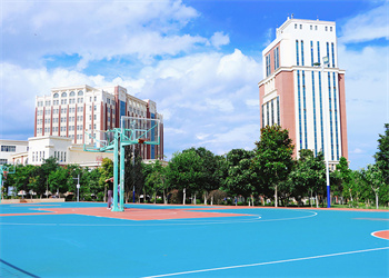 云南外事外语职业学院2026年五年制大专招生代码