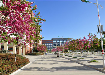 云南医药健康职业学院2021年普通中专助学政策