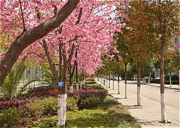 云南能源职业技术学校2021年五年制高职专业有多少(图1) 云南能源职业技术学校2021年五年制高职专业有多少