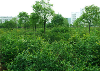 曲靖职业技术学校2021年五年制专科报名地址(图1) 曲靖职业技术学校2021年五年制专科报名地址