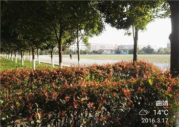 曲靖技术学院2021年五年制大专专业有哪些(图1) 曲靖技术学院2021年五年制大专专业有哪些